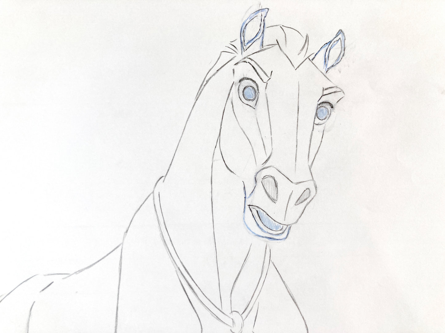 SPIRIT : Original Animation Drawing (DreamWorks, 2002)