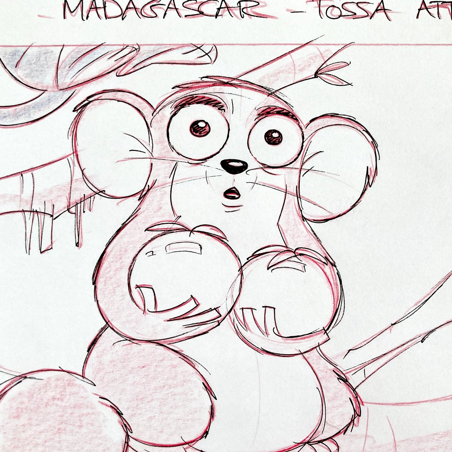 Original Storyboard Art from Madagascar (DreamWorks)