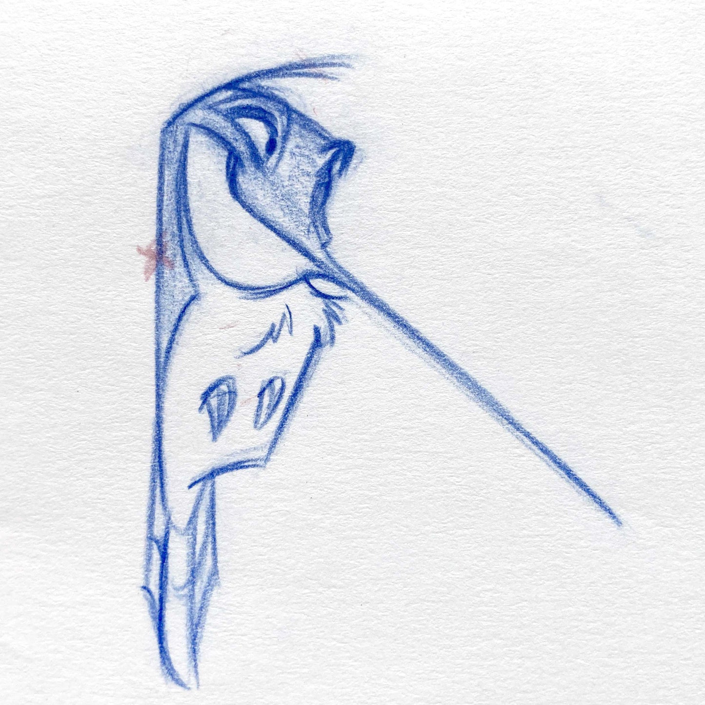 Pocahontas : Flit Original Animation Drawing (Walt Disney, 1995)