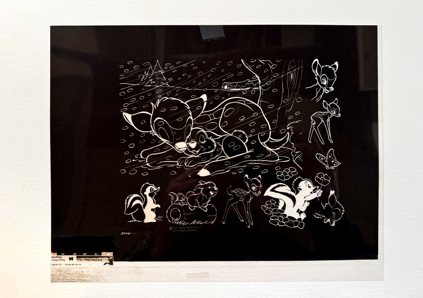 BAMBI Rare Original Disney Model Sheet Film Negative – Walt Disney Productions (1990’s). For sale on FLIP Gallery