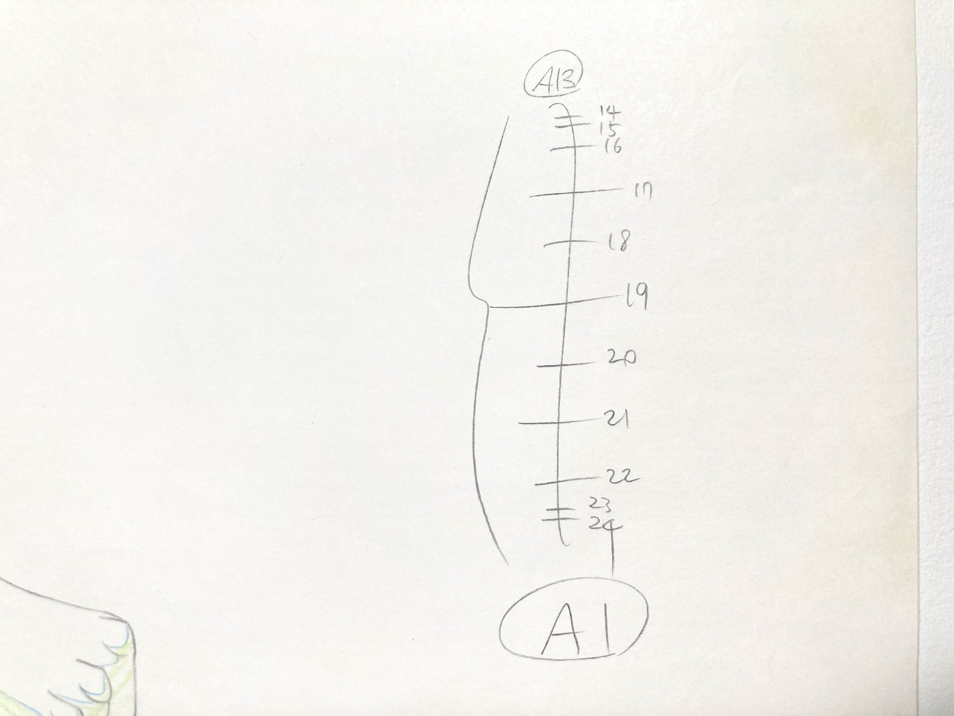 HULK : Original Animation Drawing – Ultimate Avengers: The Movie (Marvel, 2006). For sale on FLIP Gallery