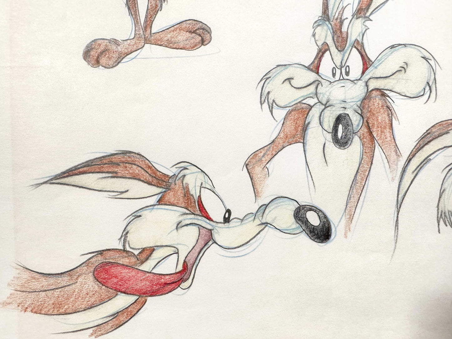 VIRGIL ROSS Original Model Sheet Drawing of Wile E. Coyote - Signed (Warner Bros, 1990’s). For sale on FLIP Gallery