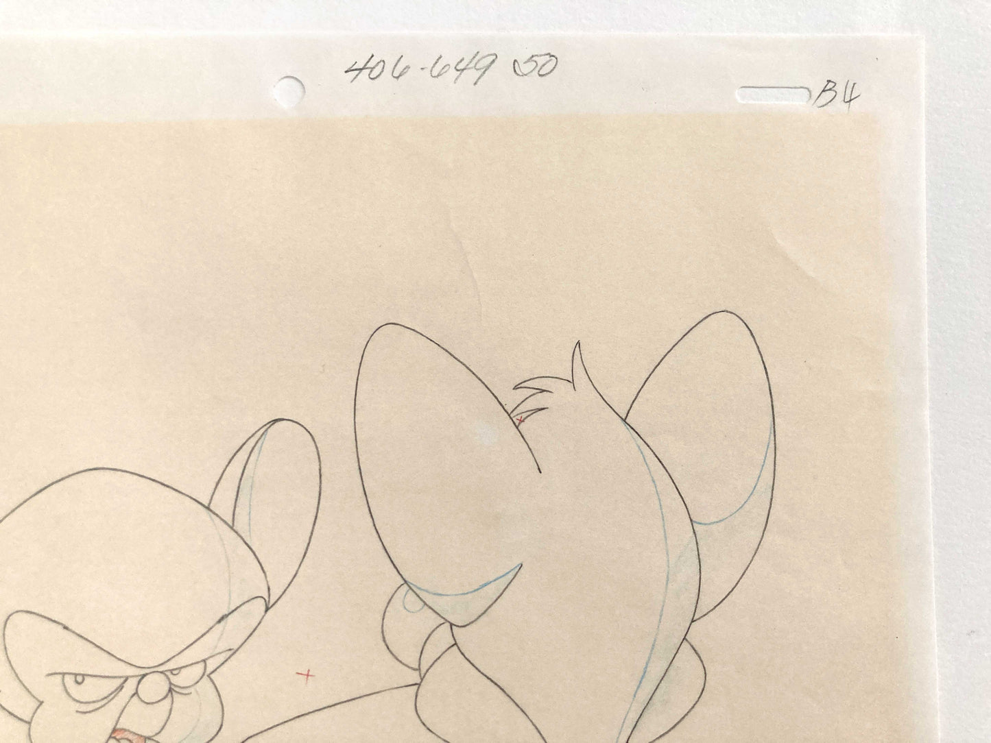 BRAIN MEETS BRAWN (Animaniacs) : Original animation drawing (1993)