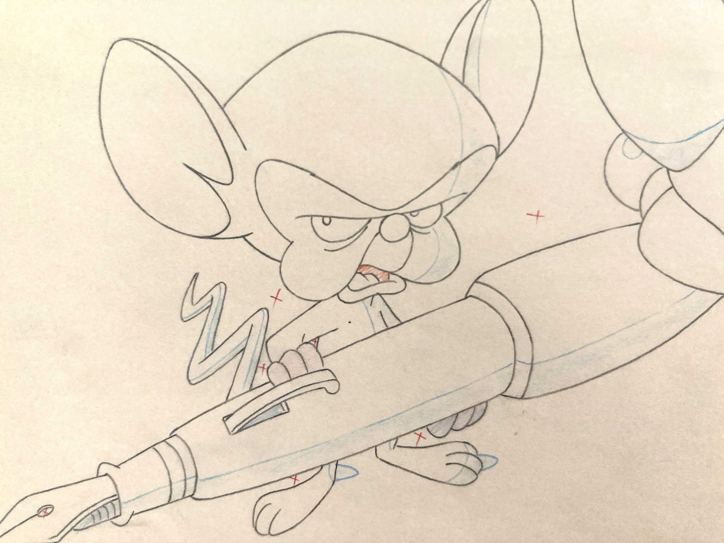 BRAIN MEETS BRAWN (Animaniacs) : Original animation drawing (1993)