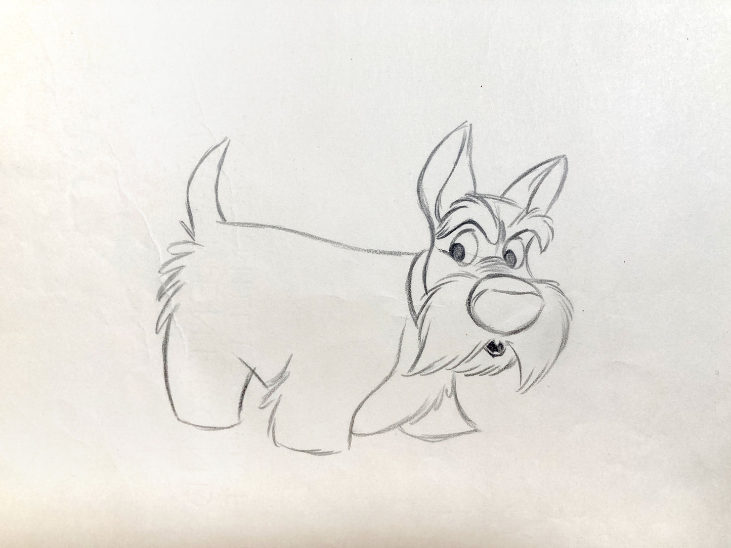 Lady and the Tramp : Jock Original Animation Drawing (Walt Disney, 1955). For sale on FLIP Gallery