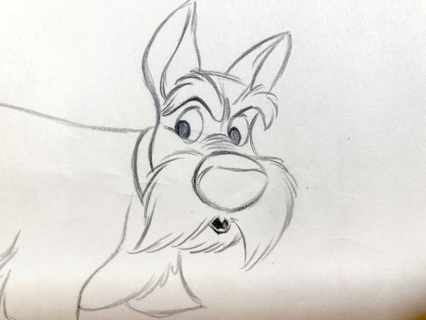 Lady and the Tramp : Jock Original Animation Drawing (Walt Disney, 1955). For sale on FLIP Gallery