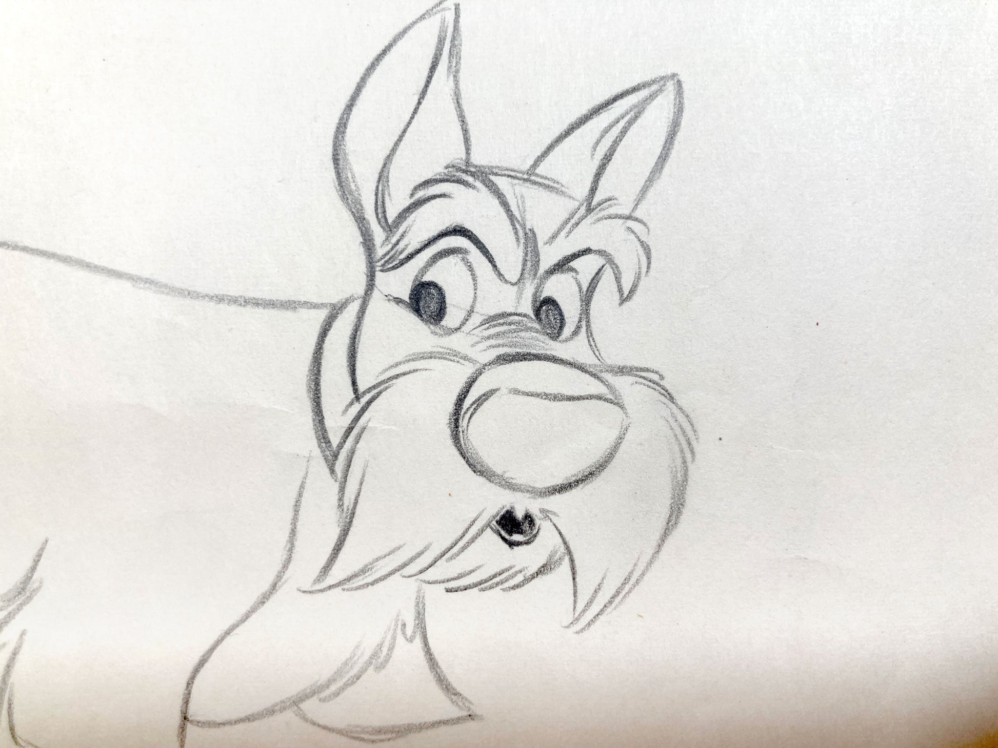 Lady and the Tramp : Jock Original Animation Drawing (Walt Disney, 1955). For sale on FLIP Gallery