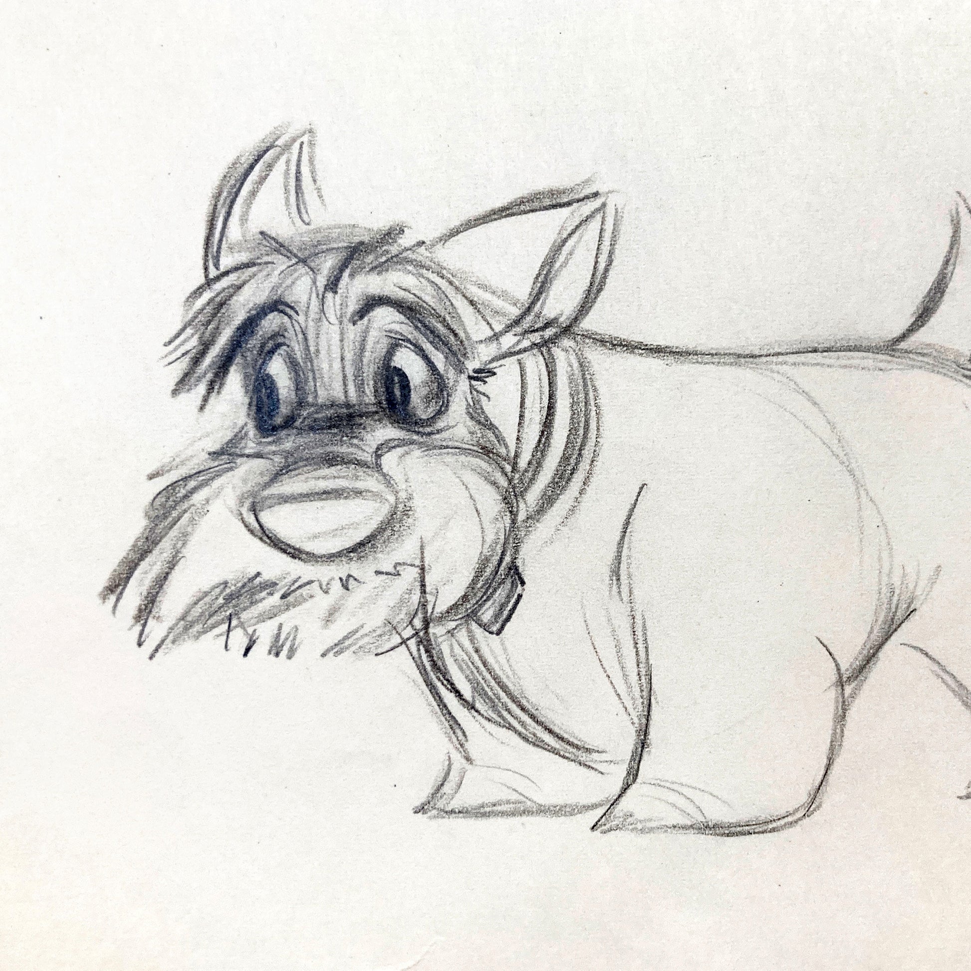 Lady and the Tramp : Jock Original Animation Drawing (Walt Disney, 1955). For sale on FLIP Gallery