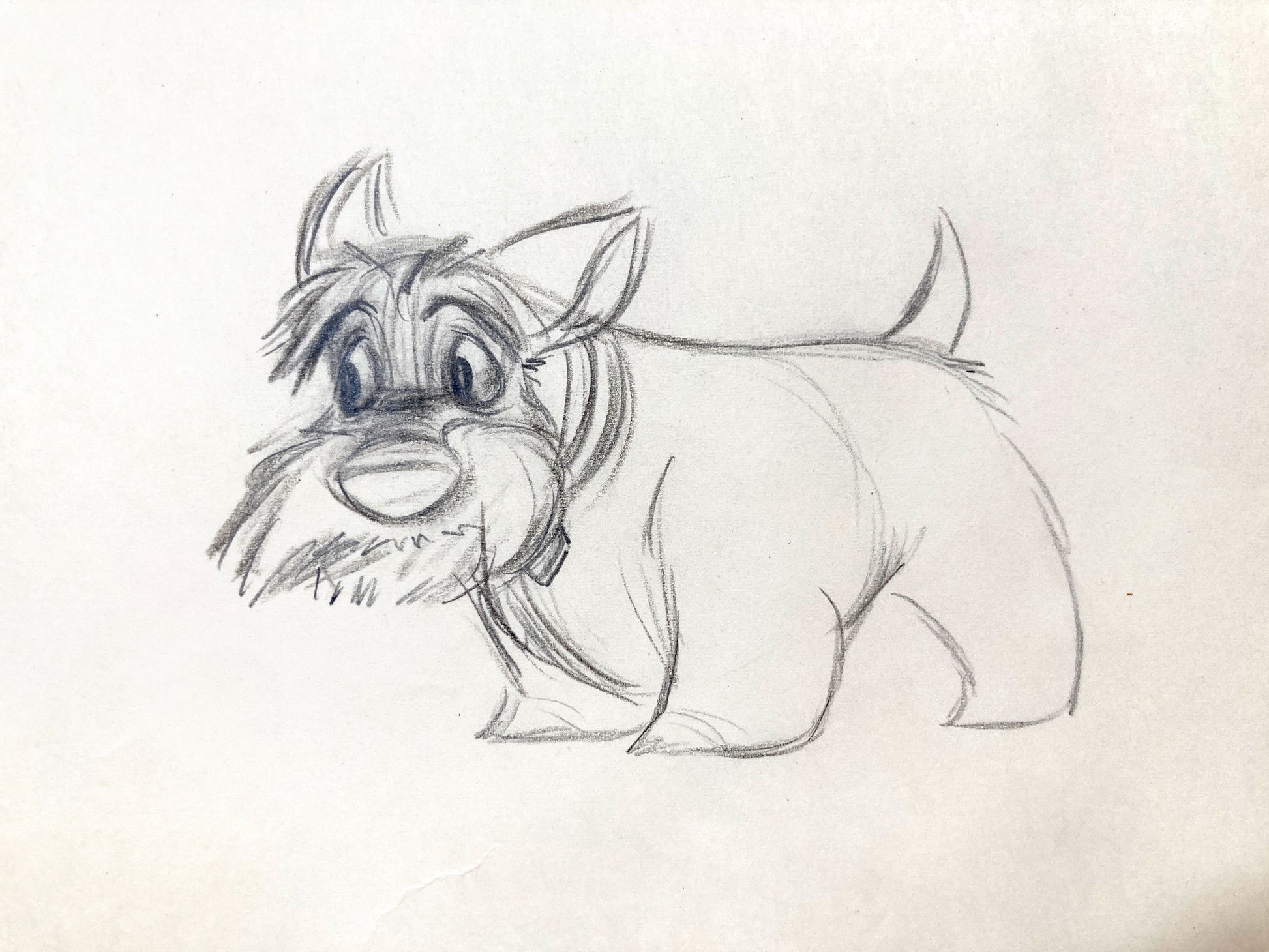 Lady and the Tramp : Jock Original Animation Drawing (Walt Disney, 1955). For sale on FLIP Gallery