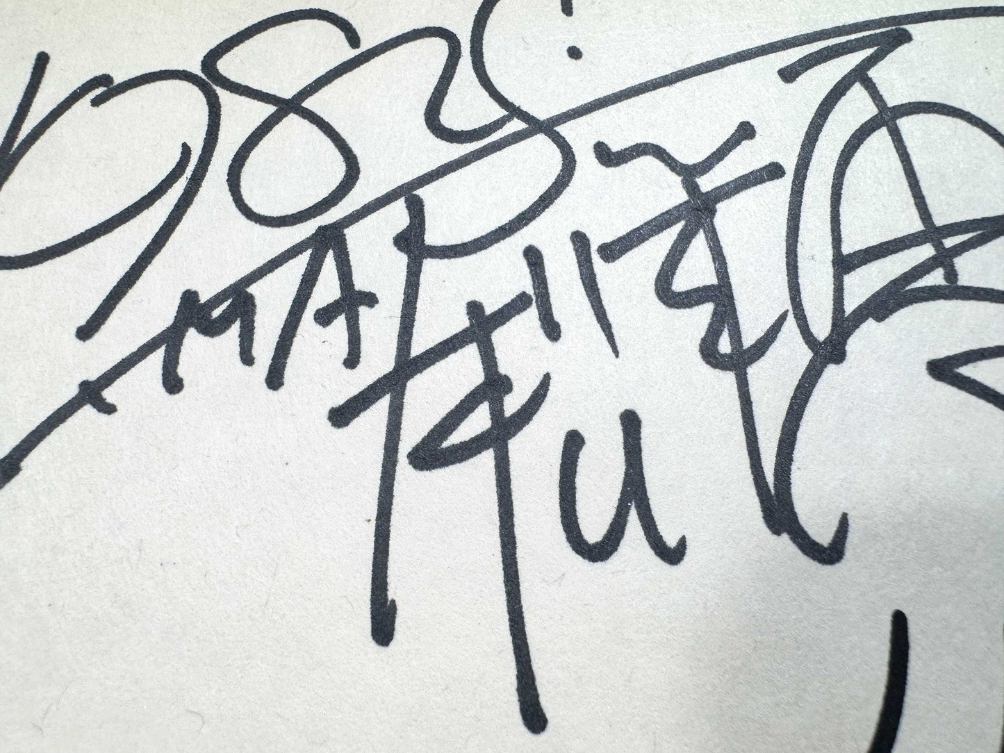Leiji Matsumoto Signed Shikishi Board “My Youth in Arcadia” Captain Harlock / Albator (1982). For sale on FLIP Gallery