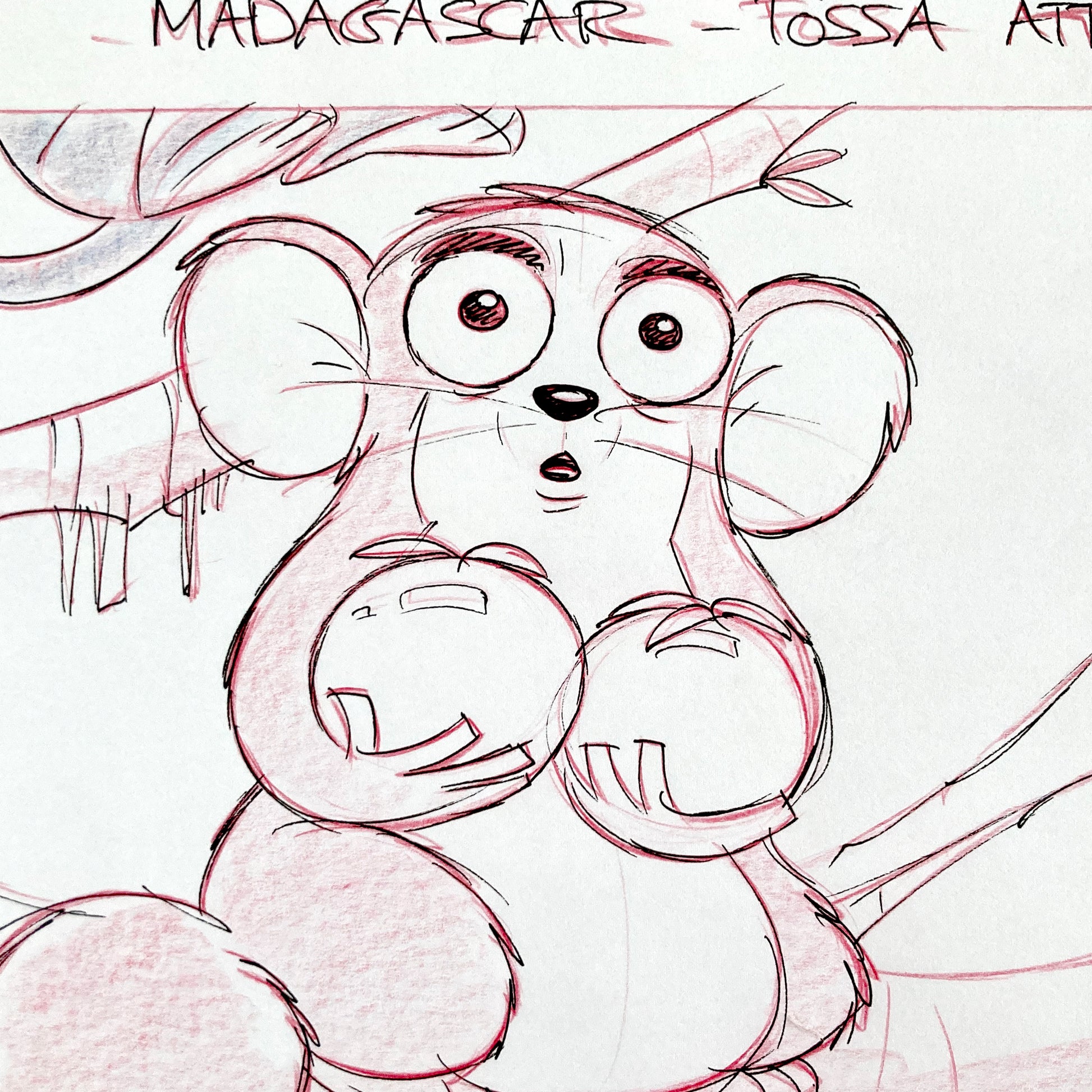 Original Storyboard Art from Madagascar (DreamWorks)
