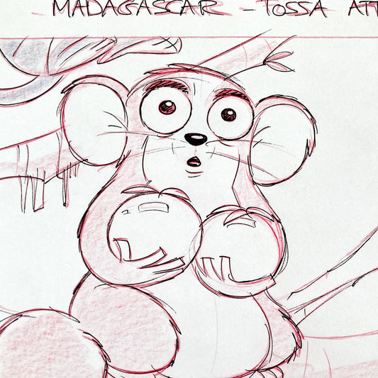 Original Storyboard Art from Madagascar (DreamWorks)