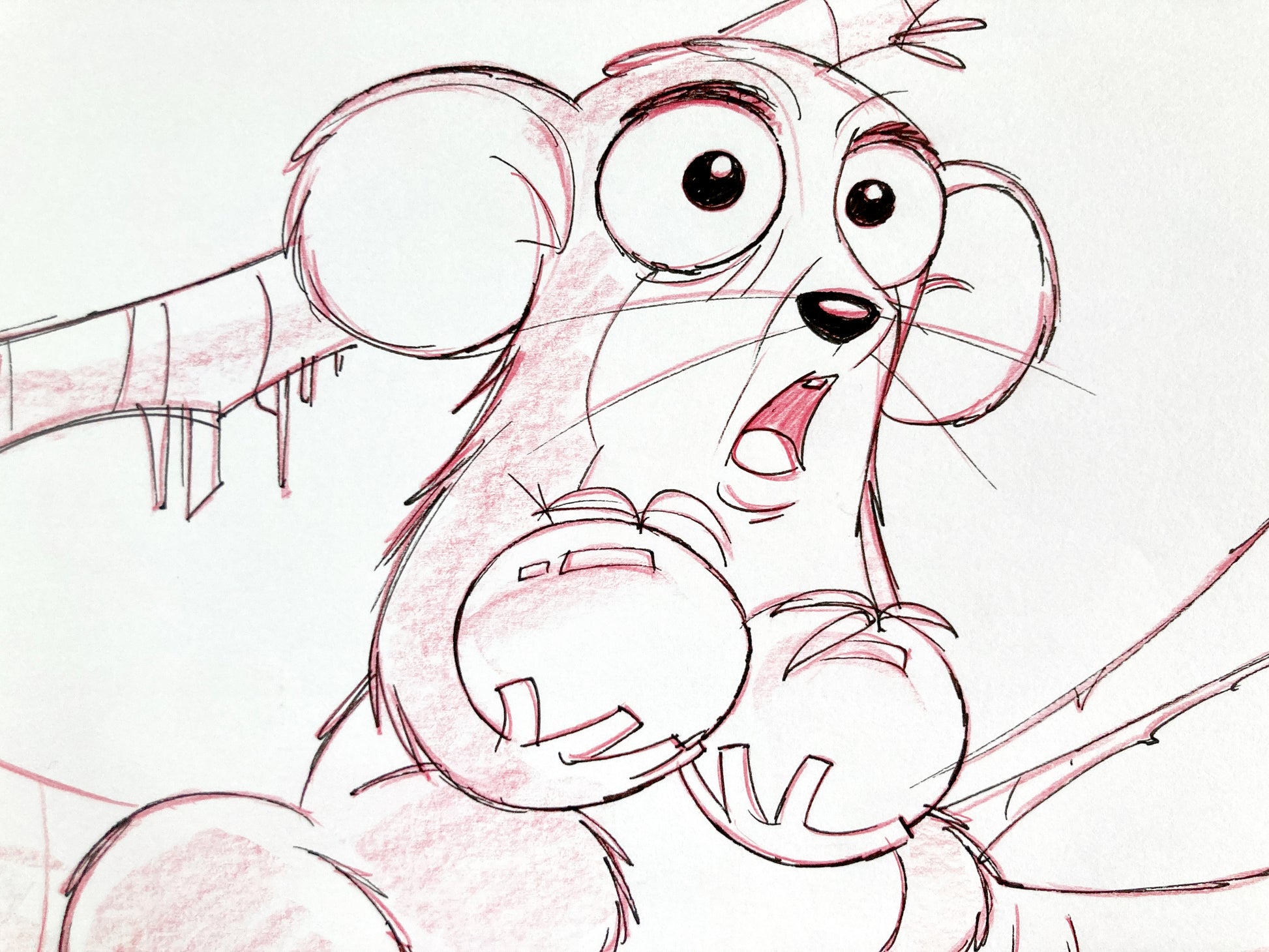 Madagascar : Original Production Used Storyboard Art Signed (DreamWorks, 2005) + Signed CERTIFICATE. For sale on FLIP Gallery