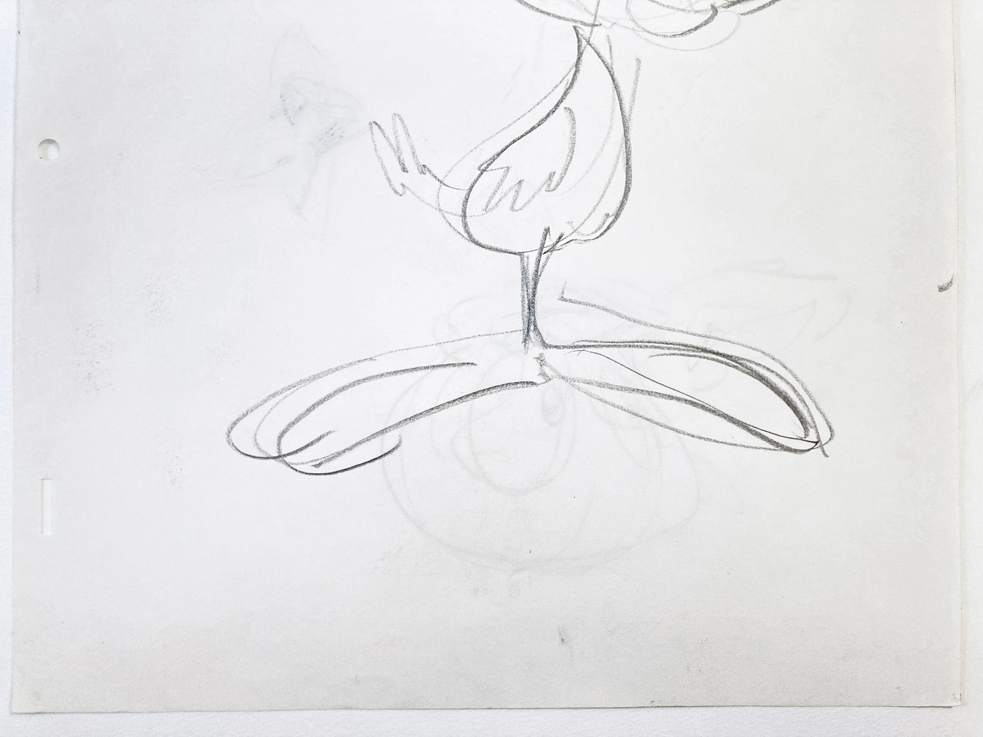 Drawing of the legendary animator Richard Williams (1933-2019). For sale on FLIP Gallery