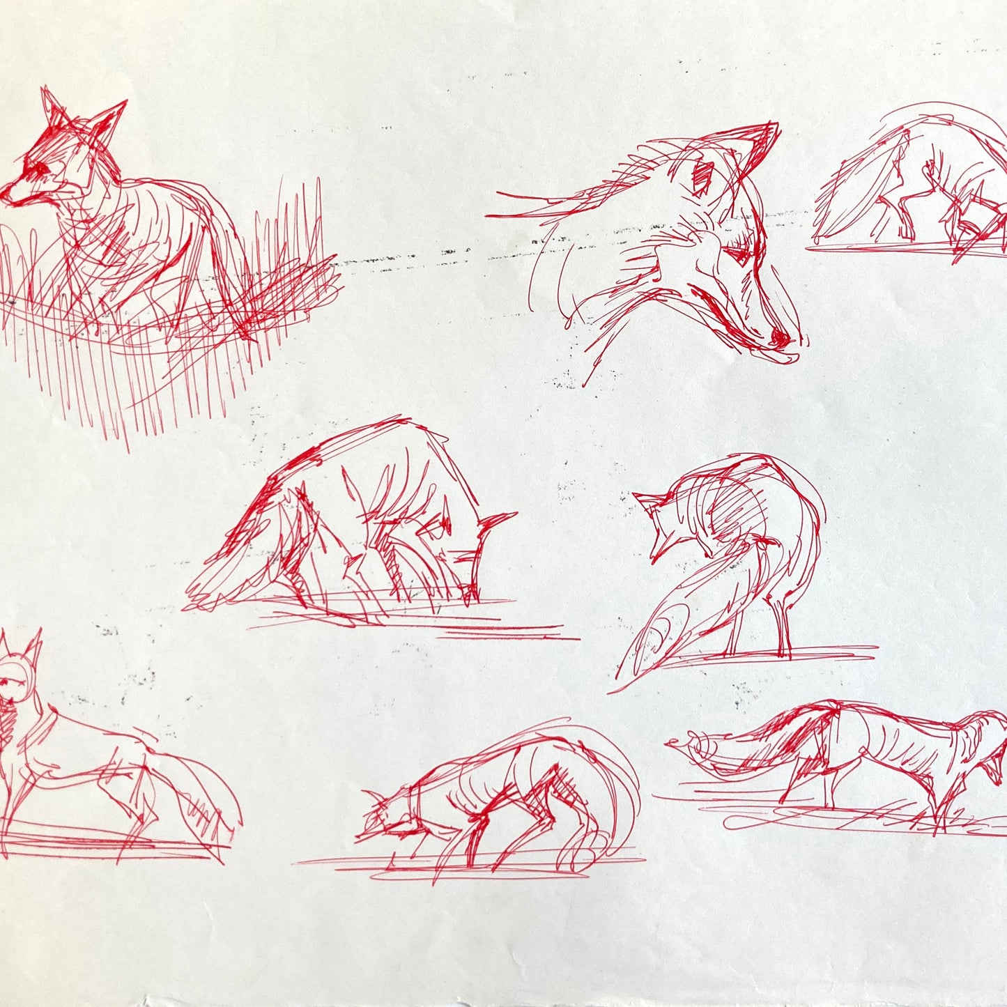 Original research of Richard Bazley. Animator for Disney (Pocahontas, Tarzan, Hercules…) For sale on FLIP Gallery