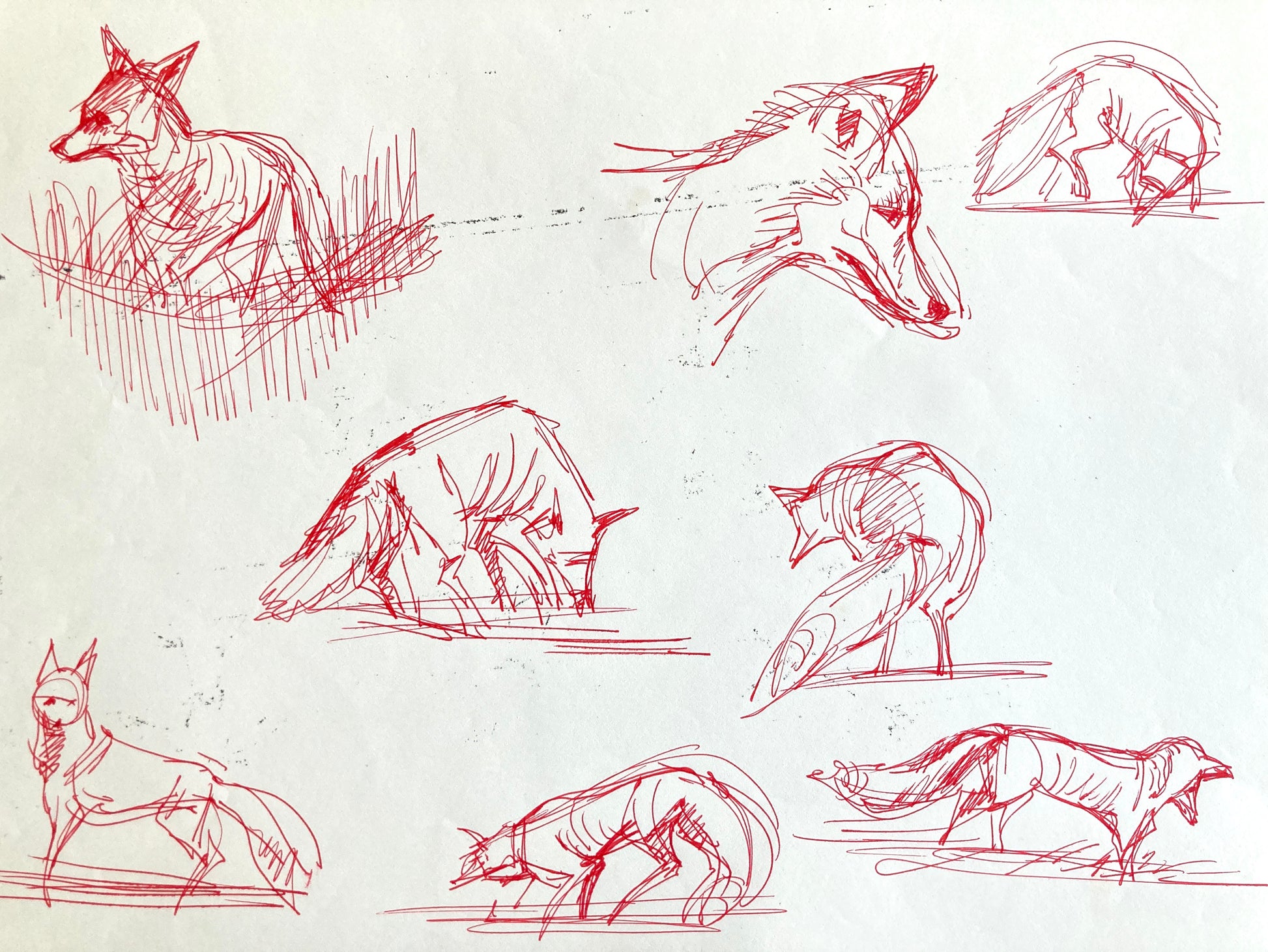 Original research of Richard Bazley. Animator for Disney (Pocahontas, Tarzan, Hercules…) For sale on FLIP Gallery