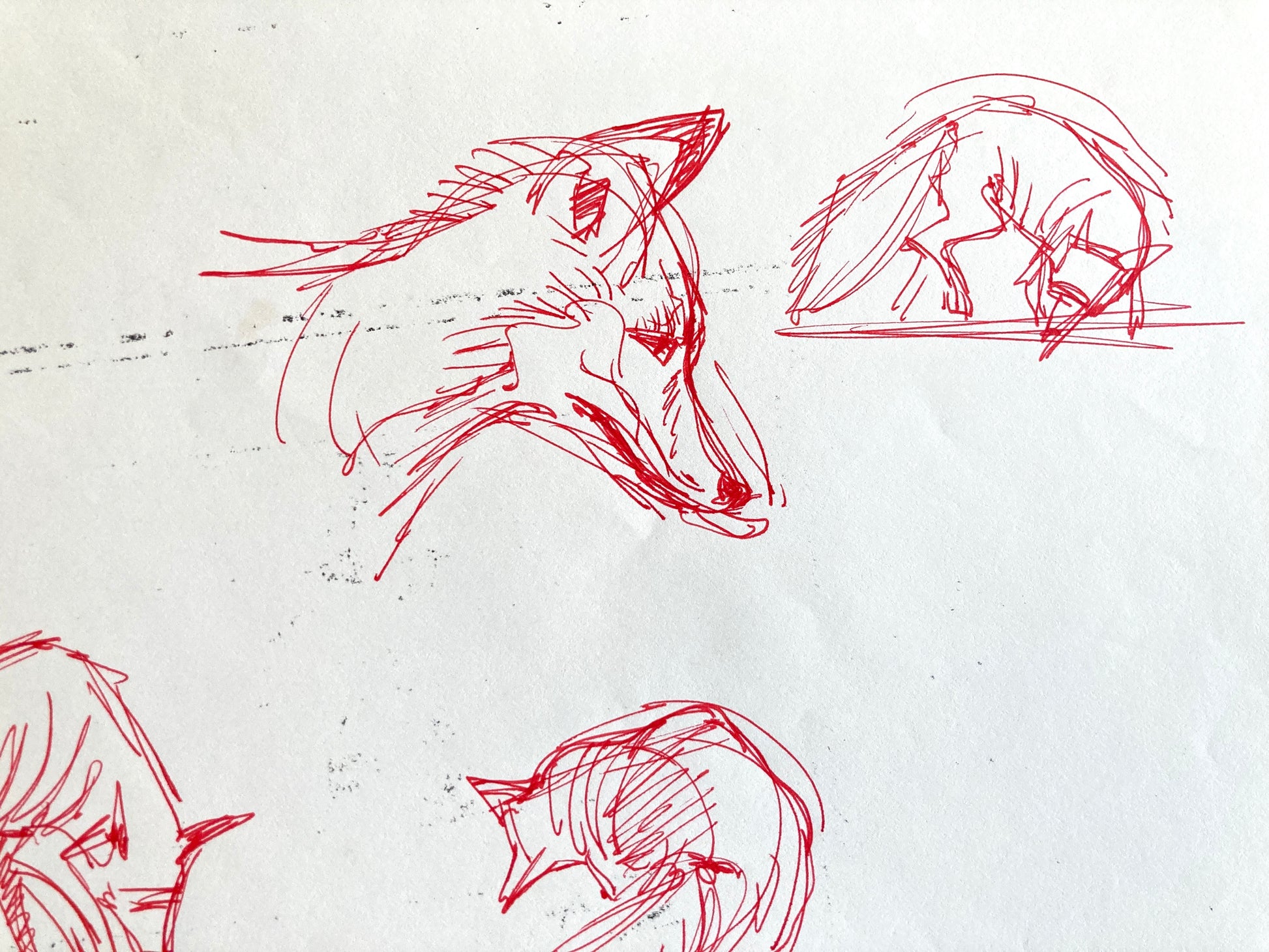 Original research of Richard Bazley. Animator for Disney (Pocahontas, Tarzan, Hercules…) For sale on FLIP Gallery