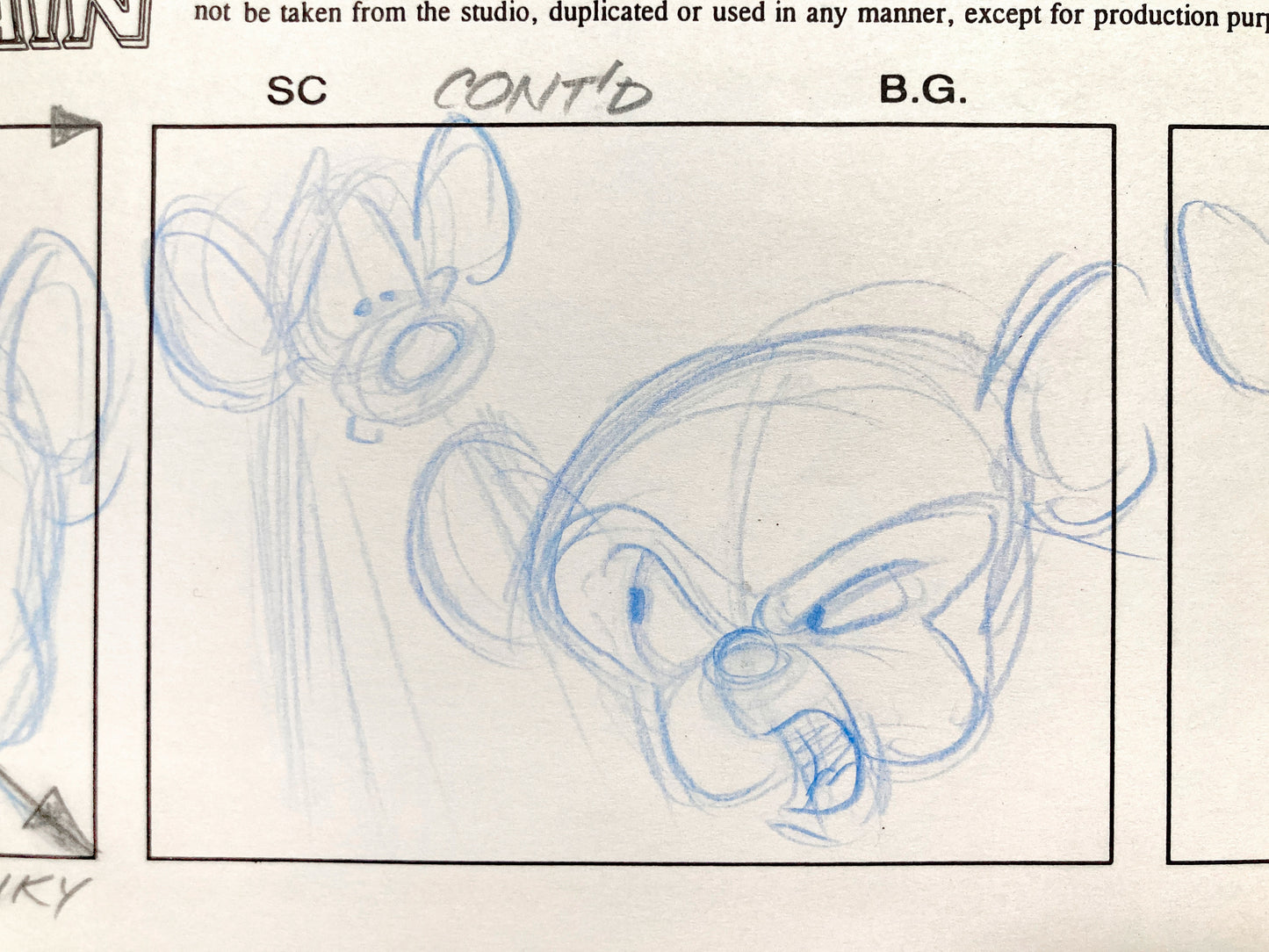 Pinky and The Brain : Original Production Hand-Drawn Studio Storyboard (Warner Bros. 1996). For sale on FLIP Gallery