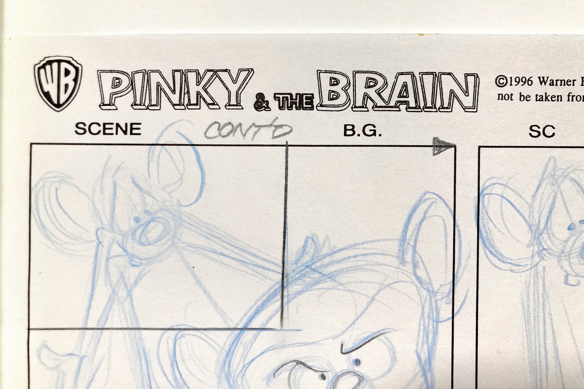 Pinky and The Brain : Original Production Hand-Drawn Studio Storyboard (Warner Bros. 1996). For sale on FLIP Gallery