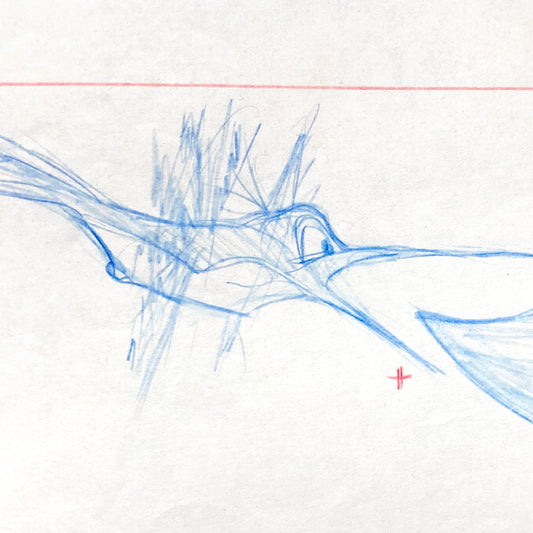 Pocahontas - Flit Original Production Used Rough Animation Drawing (Walt Disney, 1995). For sale on FLIP Gallery