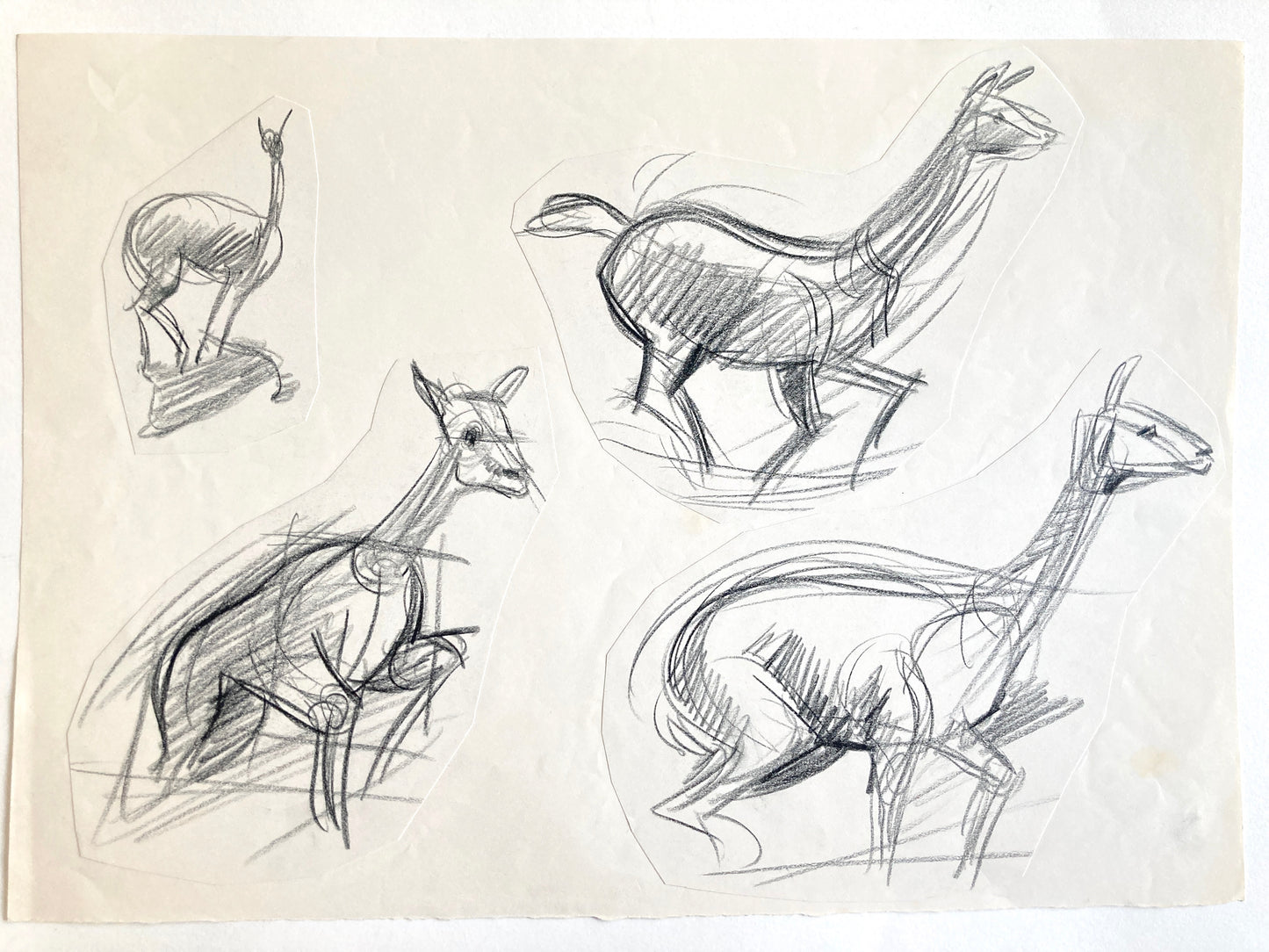 Original research of Richard Bazley (b.1962), Animator for Disney (Pocahontas, Tarzan, Hercules…). For sale on FLIP Gallery