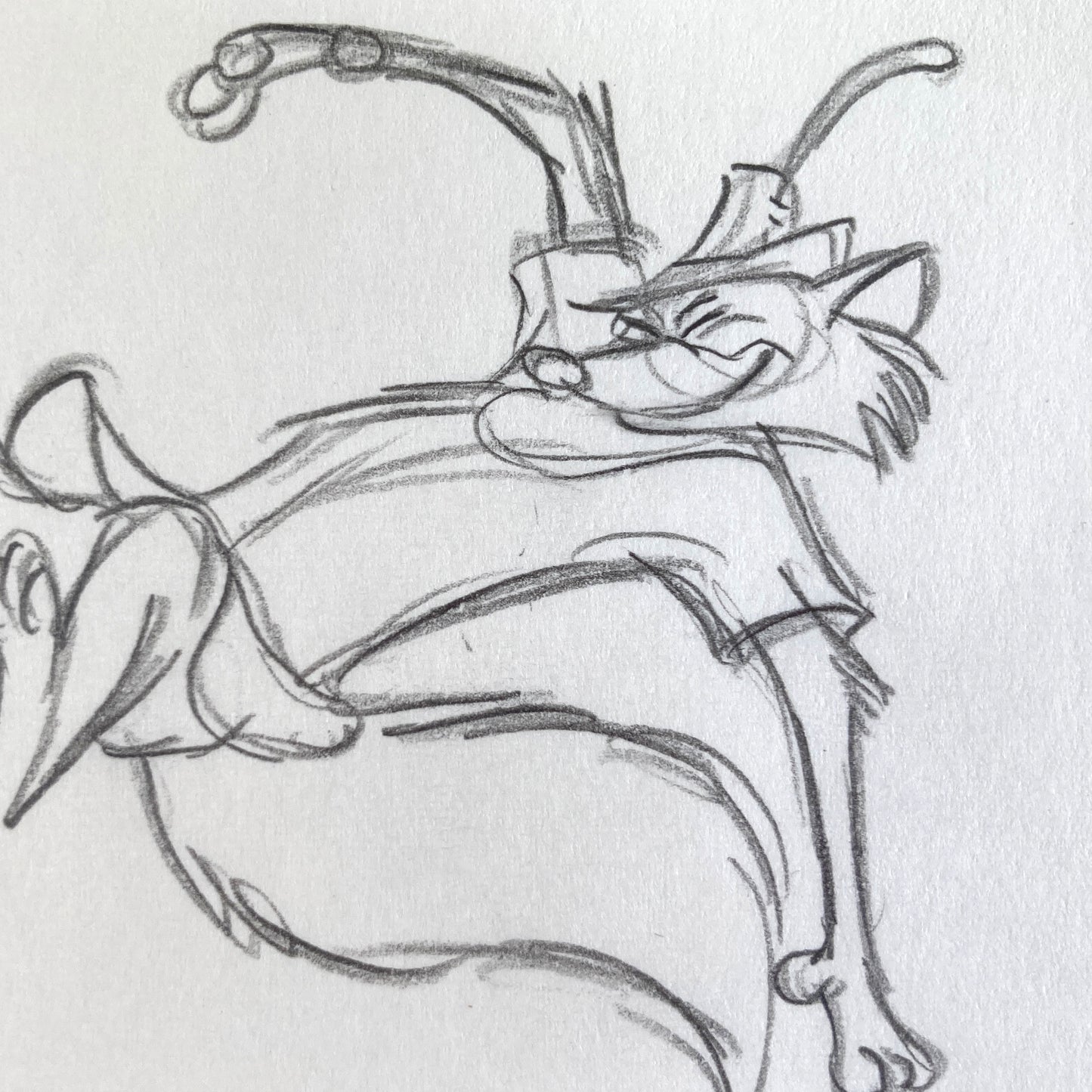 Robin Hood : Original Production Used Rough Animation Drawing (Walt Disney, 1973). For sale on FLIP Gallery