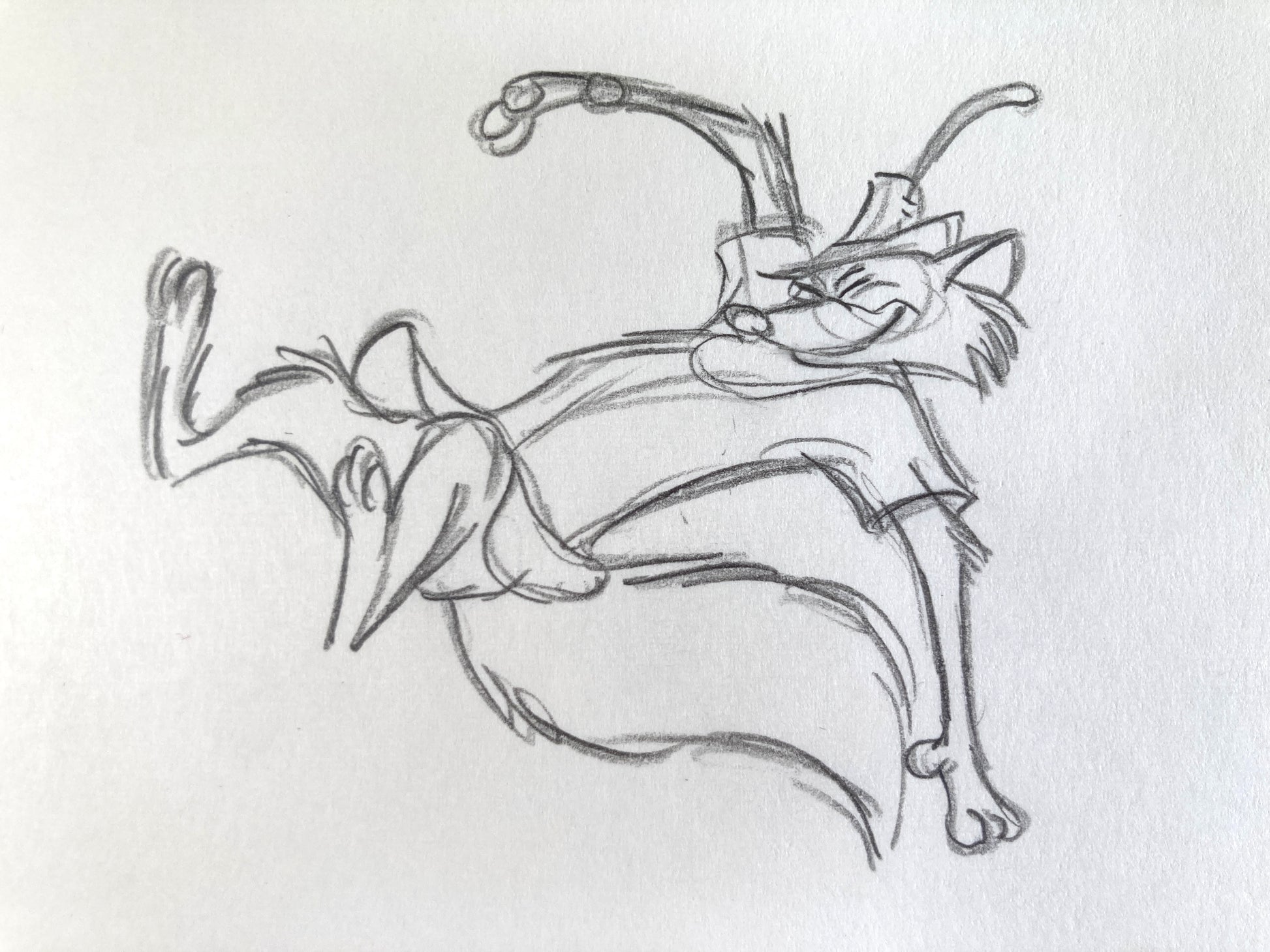 Robin Hood : Original Production Used Rough Animation Drawing (Walt Disney, 1973). For sale on FLIP Gallery