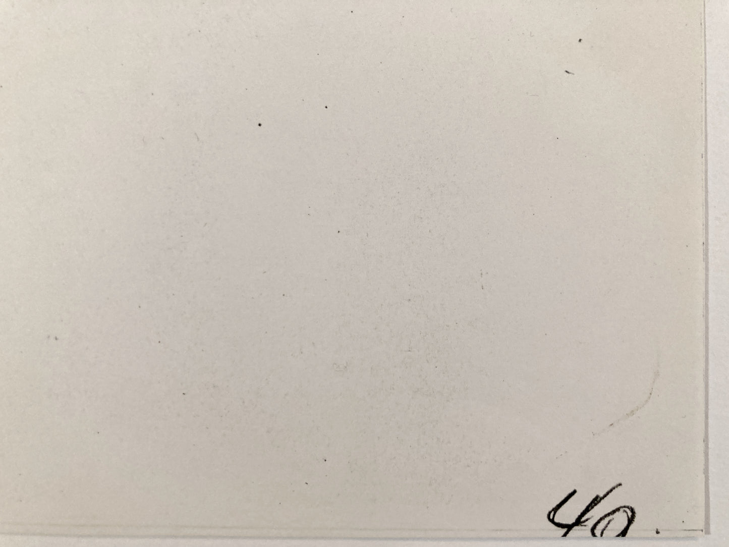 SYLVESTER : Original copy from 1949 from Virgil Ross Archive (Warner Bros.) For sale on FLIP Gallery