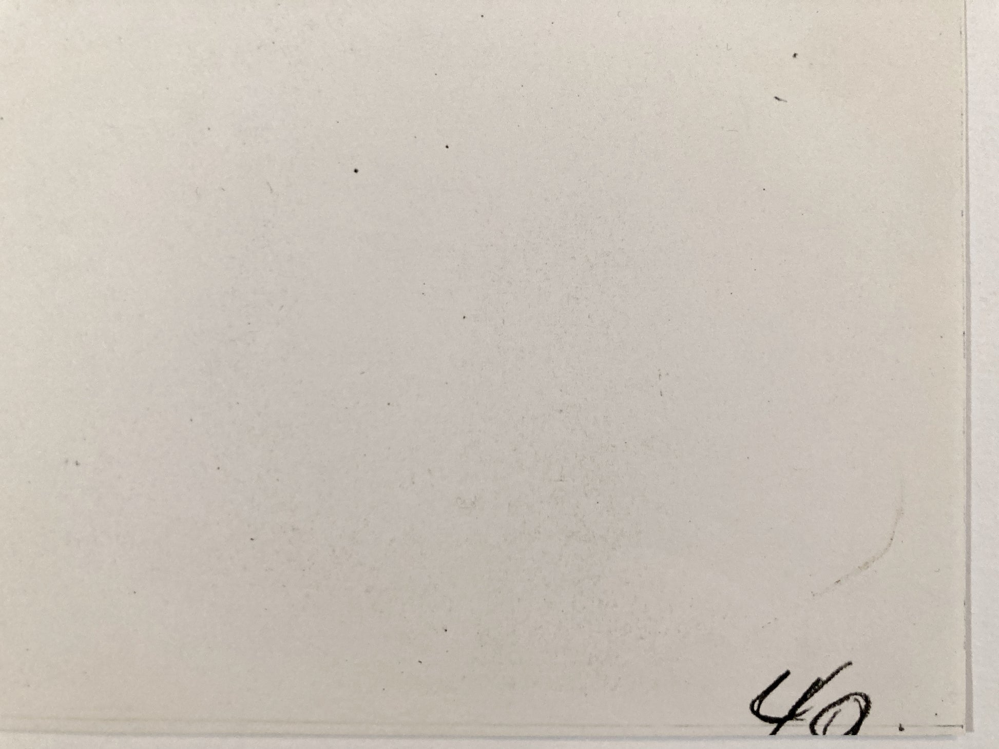 SYLVESTER : Original copy from 1949 from Virgil Ross Archive (Warner Bros.) For sale on FLIP Gallery