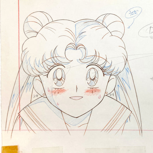Sailor Moon S Driving Dangerously Usagi Original Animation Layout Drawing (Toei Animation, 1994). For Sale on FLIP Gallery