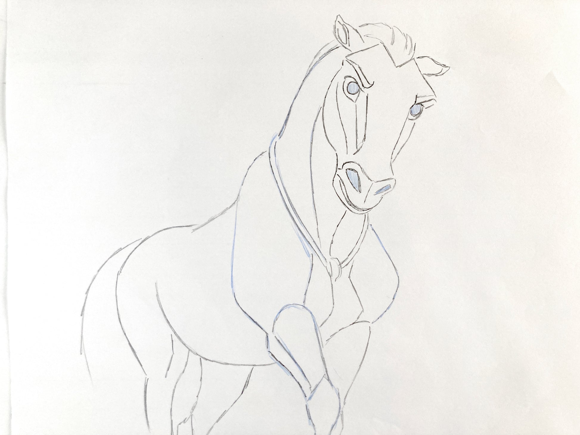 Spirit: Stallion of the Cimarron - Original Production Used Animation Drawing (DreamWorks, 2002). For sale on FLIP Gallery