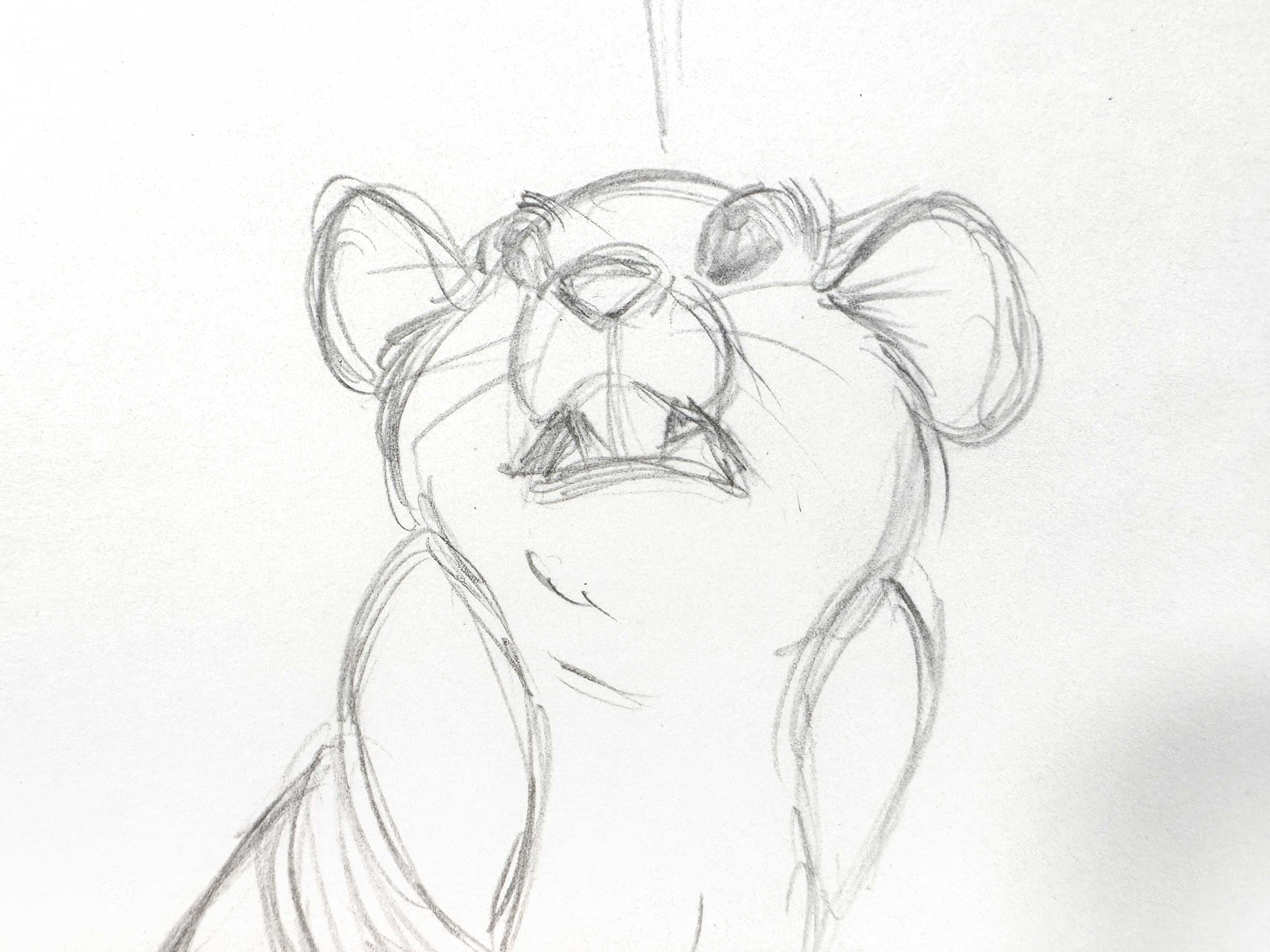 The Rescuers Down Under Original Animation Production Drawing (Walt Disney, 1990). For sale on FLIP Gallery