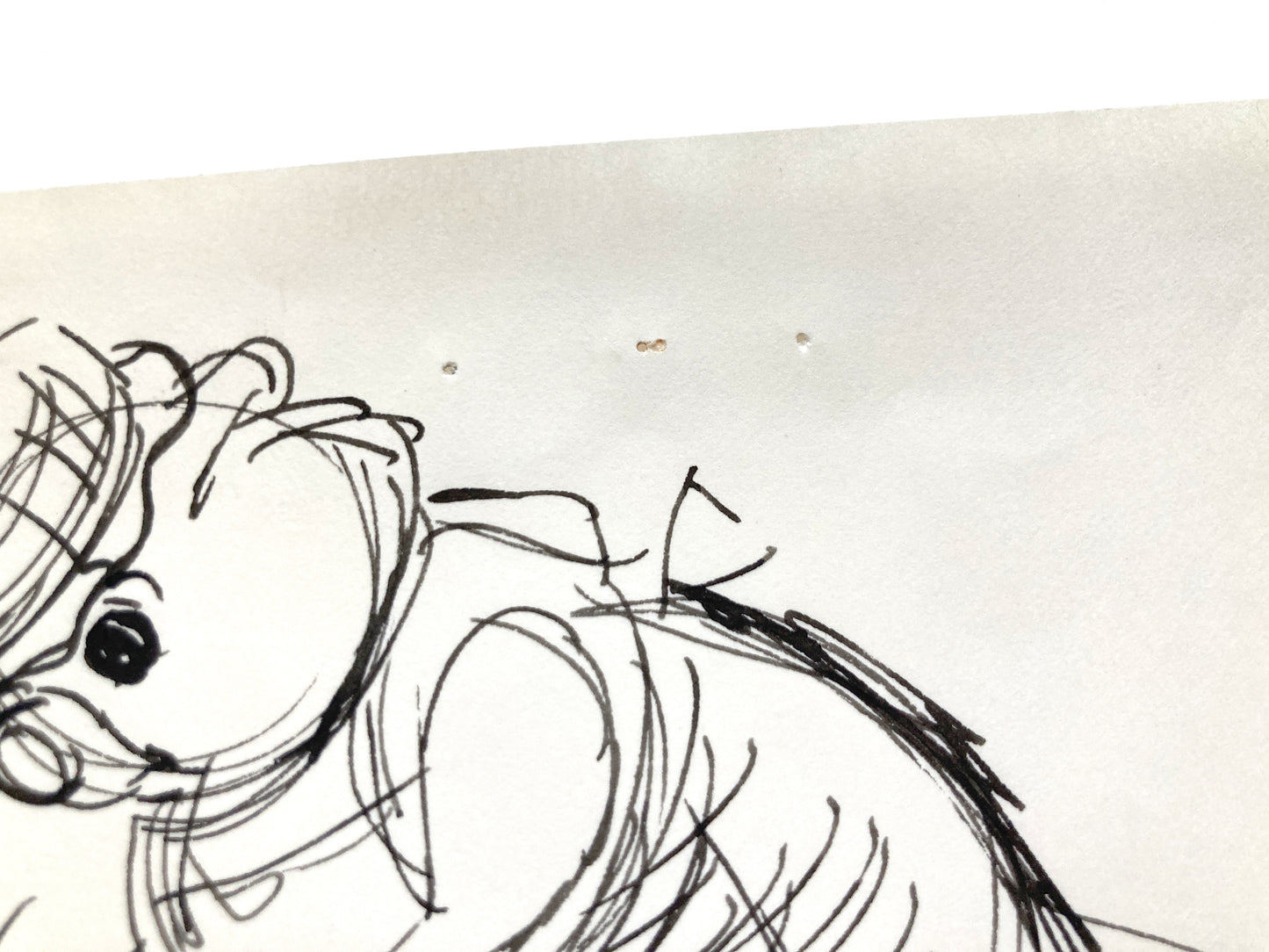 The Rescuers : Original Storyboard Drawing - Art from the legendary Ted Berman (Walt Disney, 1977). For sale on FLIP Gallery
