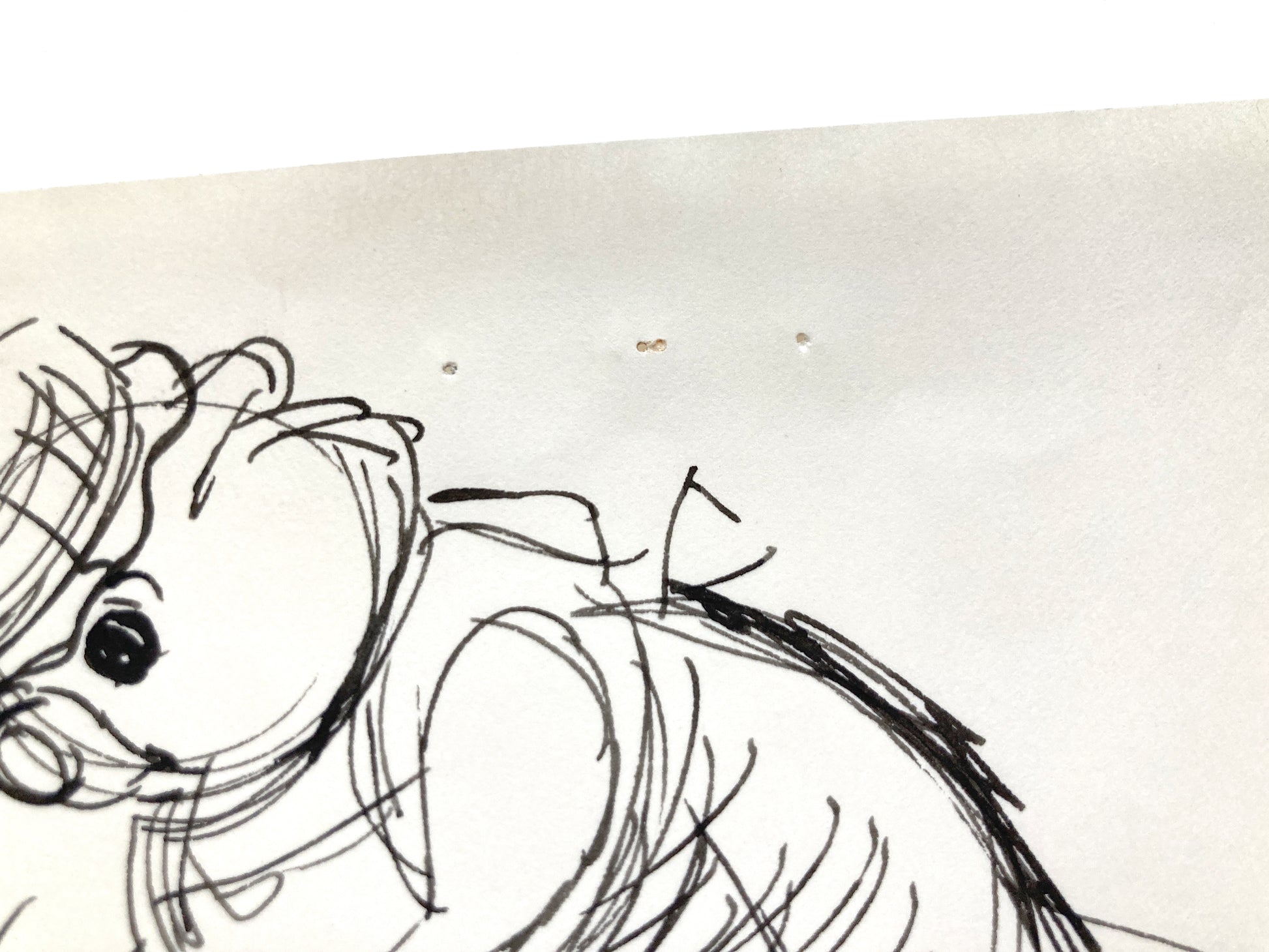 The Rescuers : Original Storyboard Drawing - Art from the legendary Ted Berman (Walt Disney, 1977). For sale on FLIP Gallery