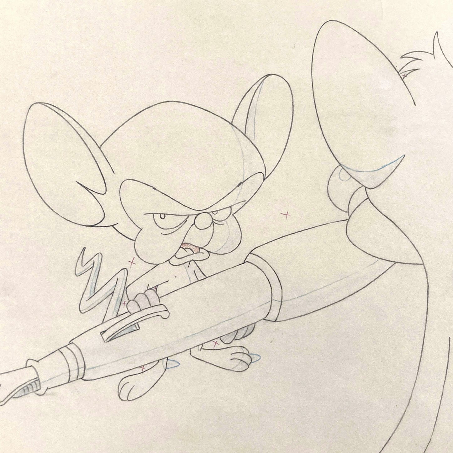 BRAIN MEETS BRAWN (Animaniacs) : Original animation drawing (1993)