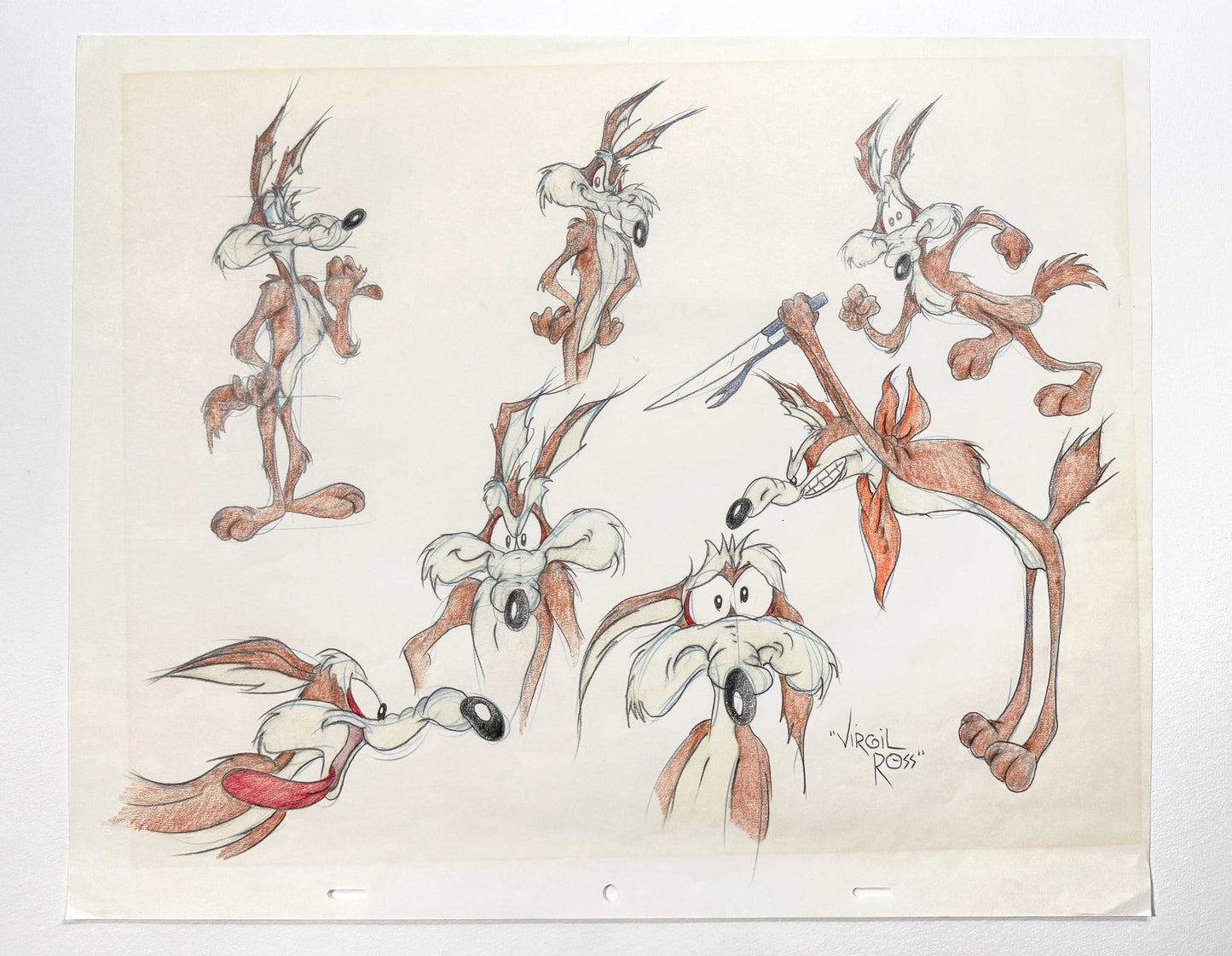 VIRGIL ROSS Original Model Sheet Drawing of Wile E. Coyote - Signed (Warner Bros, 1990’s). For sale on FLIP Gallery