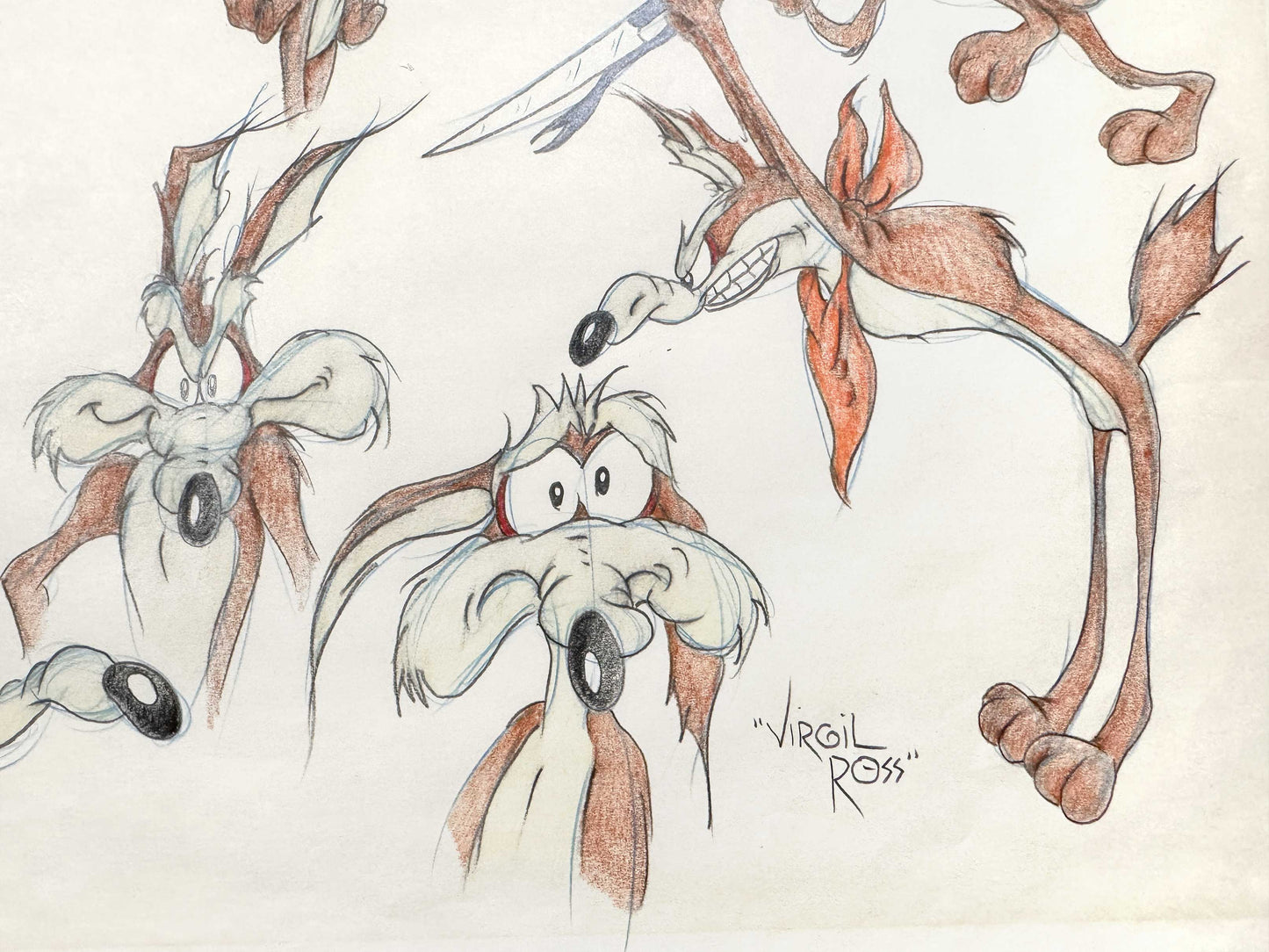 VIRGIL ROSS Original Model Sheet Drawing of Wile E. Coyote - Signed (Warner Bros, 1990’s). For sale on FLIP Gallery