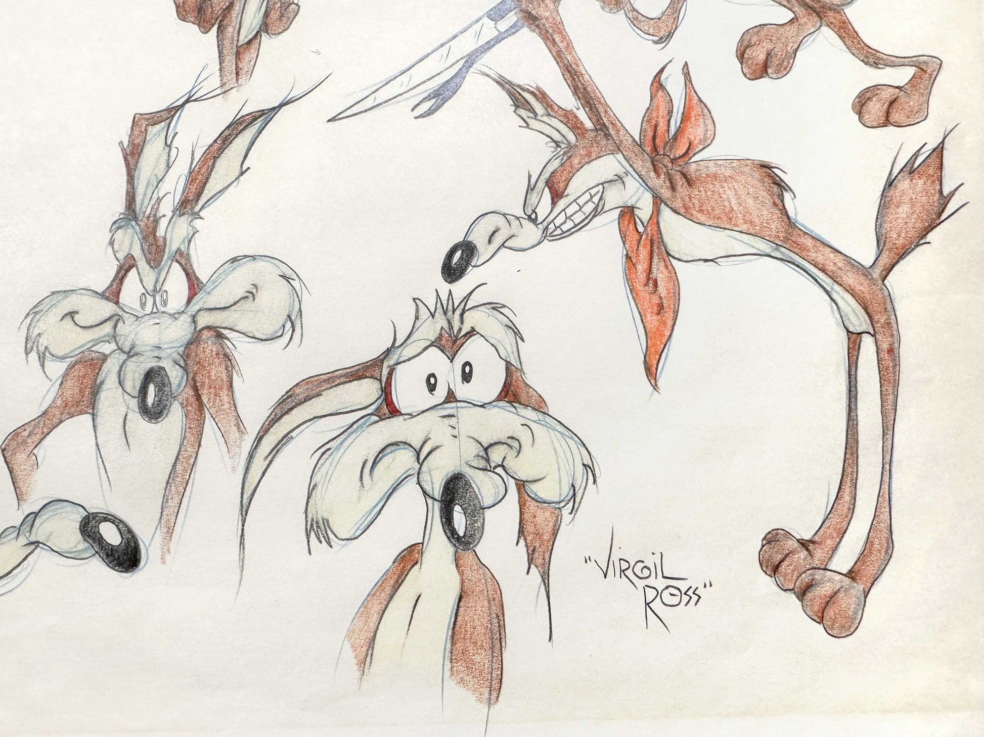 VIRGIL ROSS Original Model Sheet Drawing of Wile E. Coyote - Signed (Warner Bros, 1990’s). For sale on FLIP Gallery