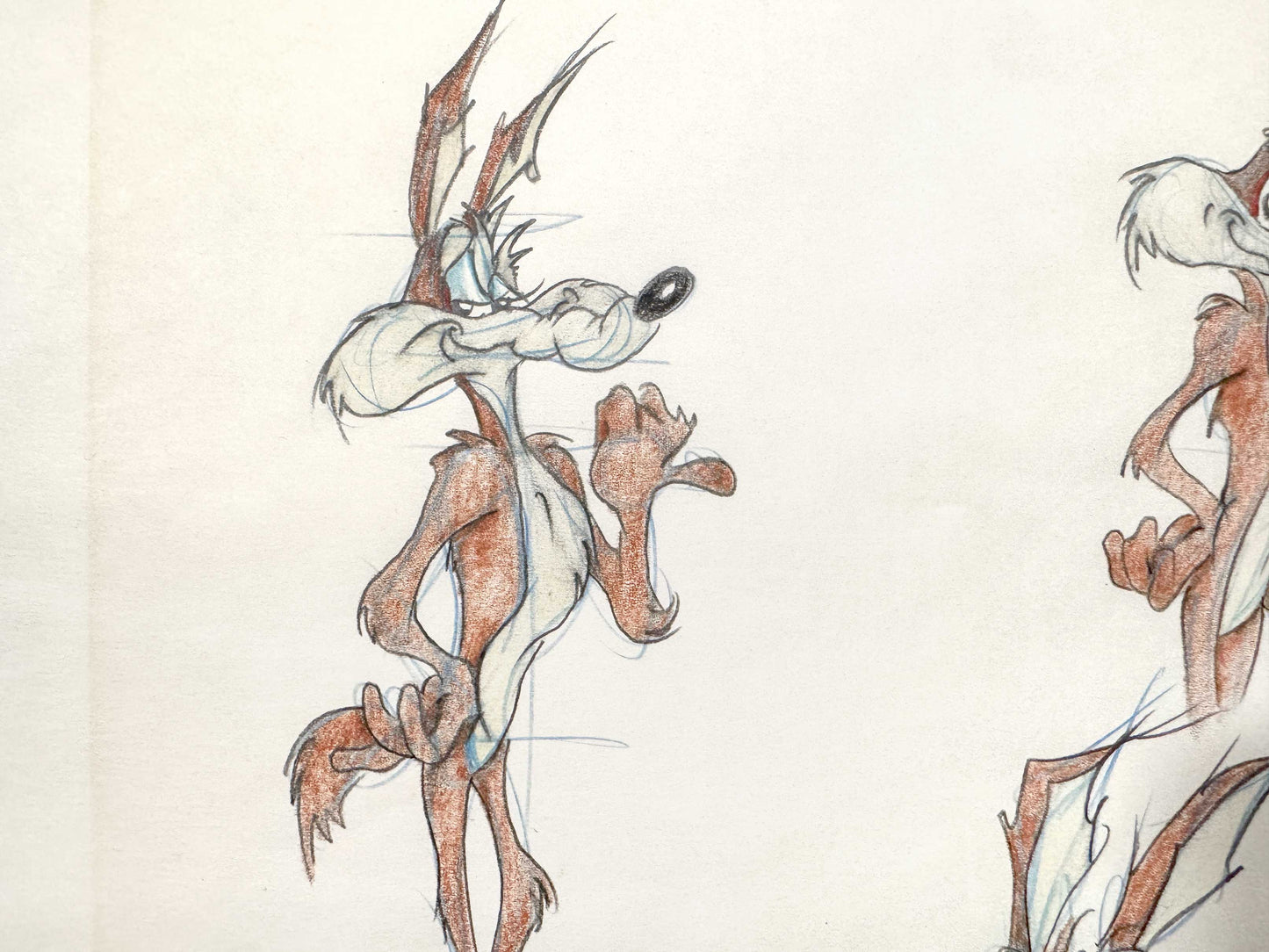 VIRGIL ROSS Original Model Sheet Drawing of Wile E. Coyote - Signed (Warner Bros, 1990’s). For sale on FLIP Gallery