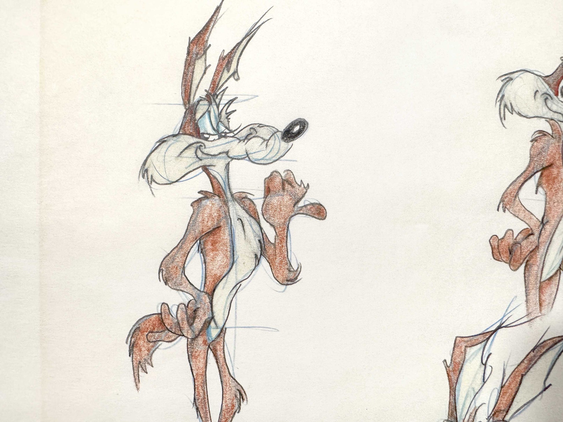 VIRGIL ROSS Original Model Sheet Drawing of Wile E. Coyote - Signed (Warner Bros, 1990’s). For sale on FLIP Gallery